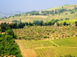 Toscana2011-25